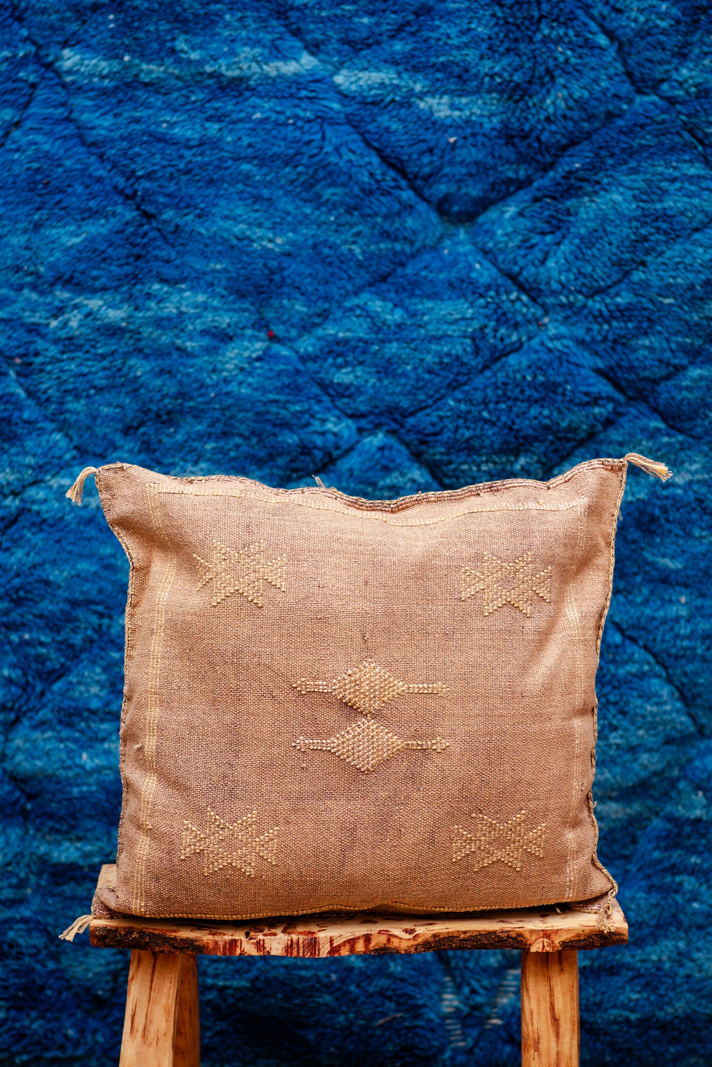 Coussin cactus Nihel