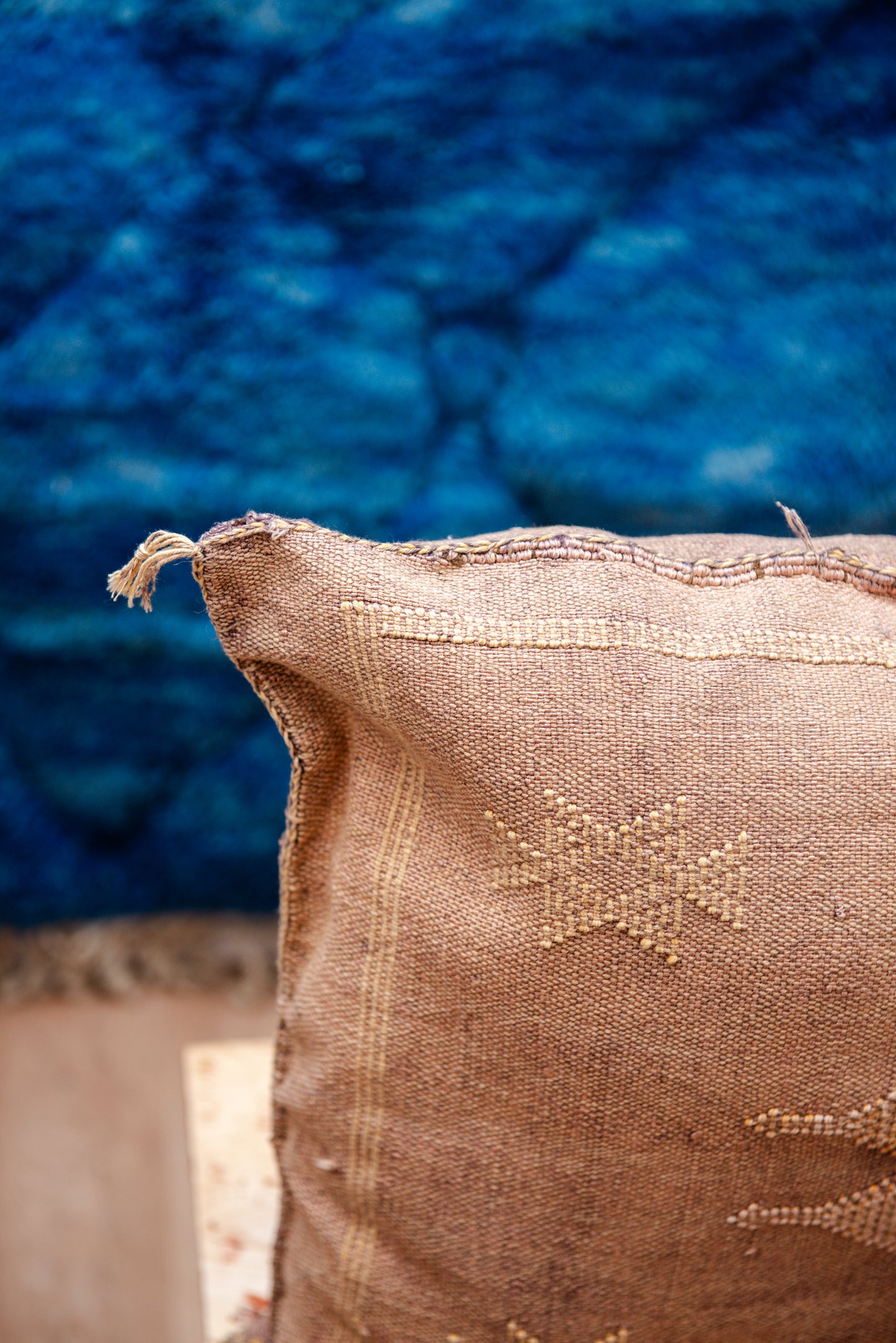 Coussin cactus Nihel